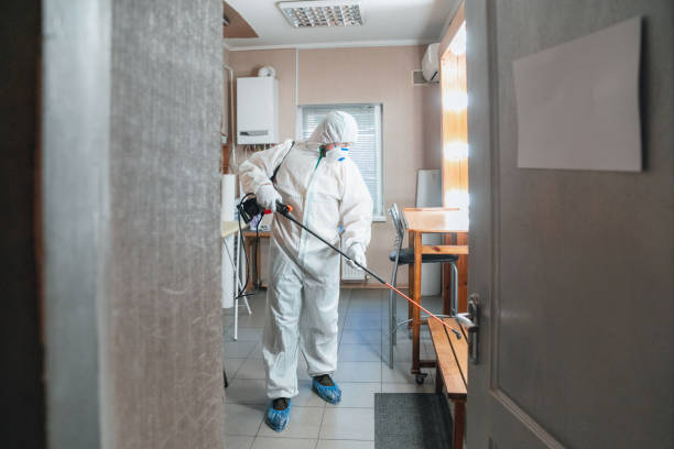 Asbestos and Lead Testing During Mold Inspection in Omao, HI